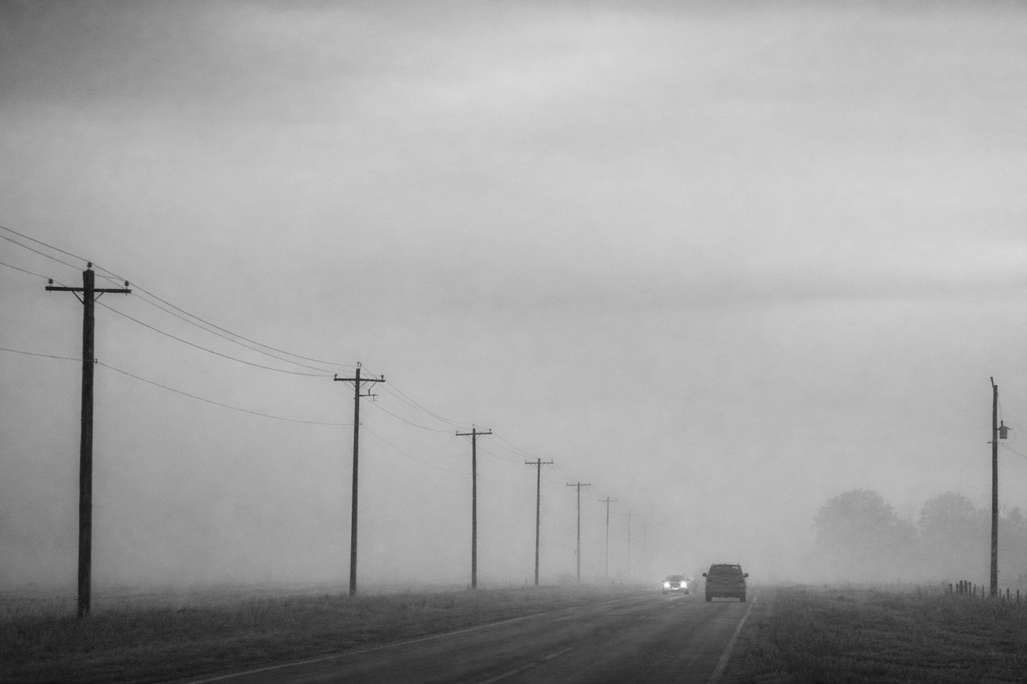 The Mist