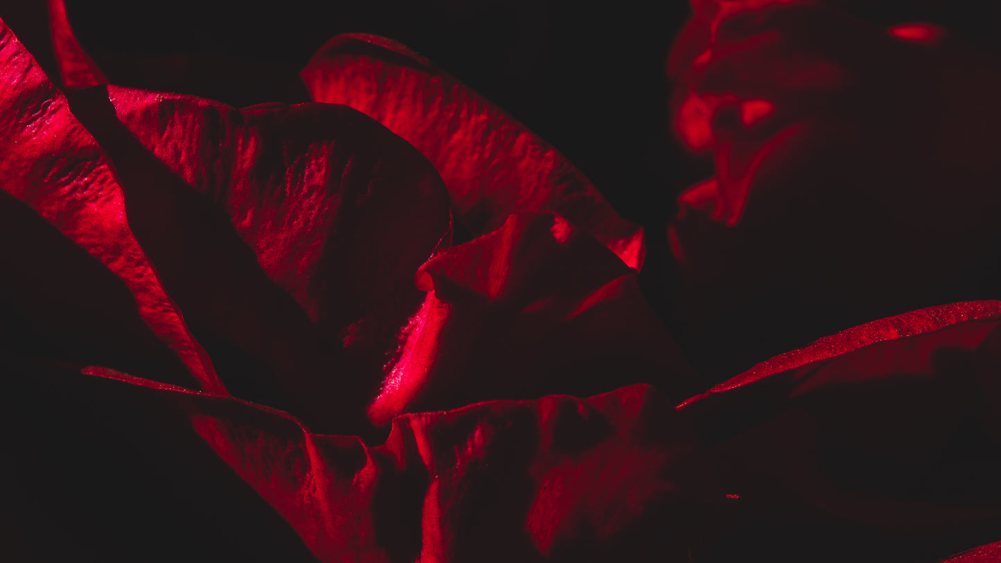 Crimson Whispers