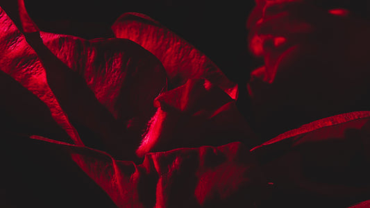 Crimson Whispers