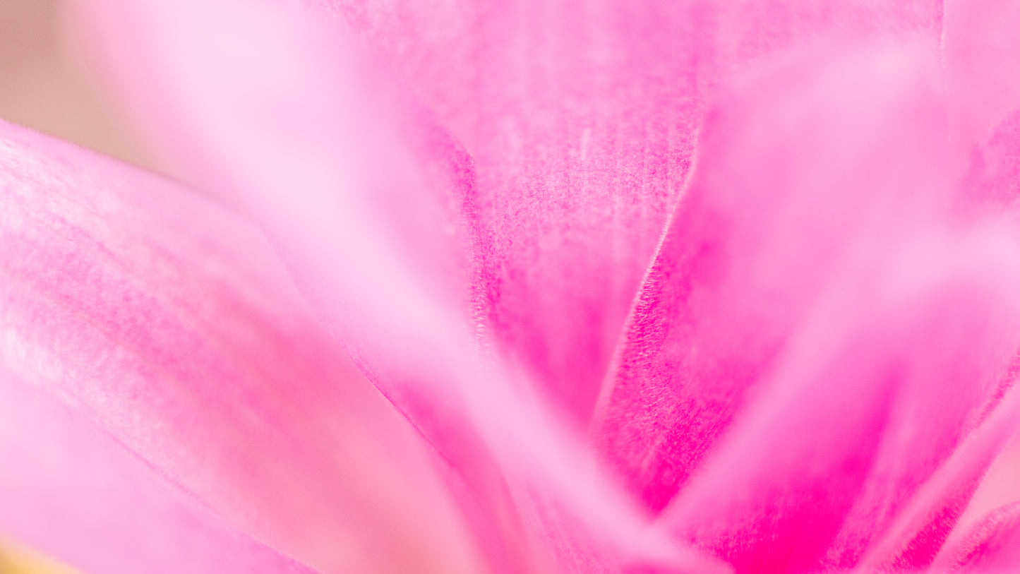 Graceful Growth