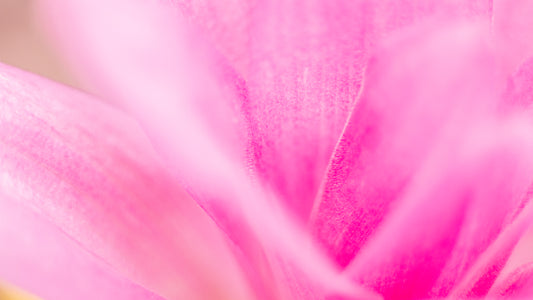 Graceful Growth